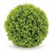 Melrose Boxwood Foliage Orb Artificial Bushes - 8.75" - Set of 2